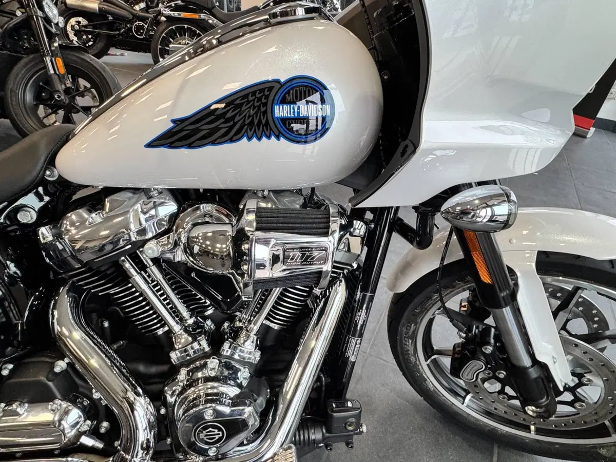 Harley-Davidson Low Rider ST (2025 - 26) (2)