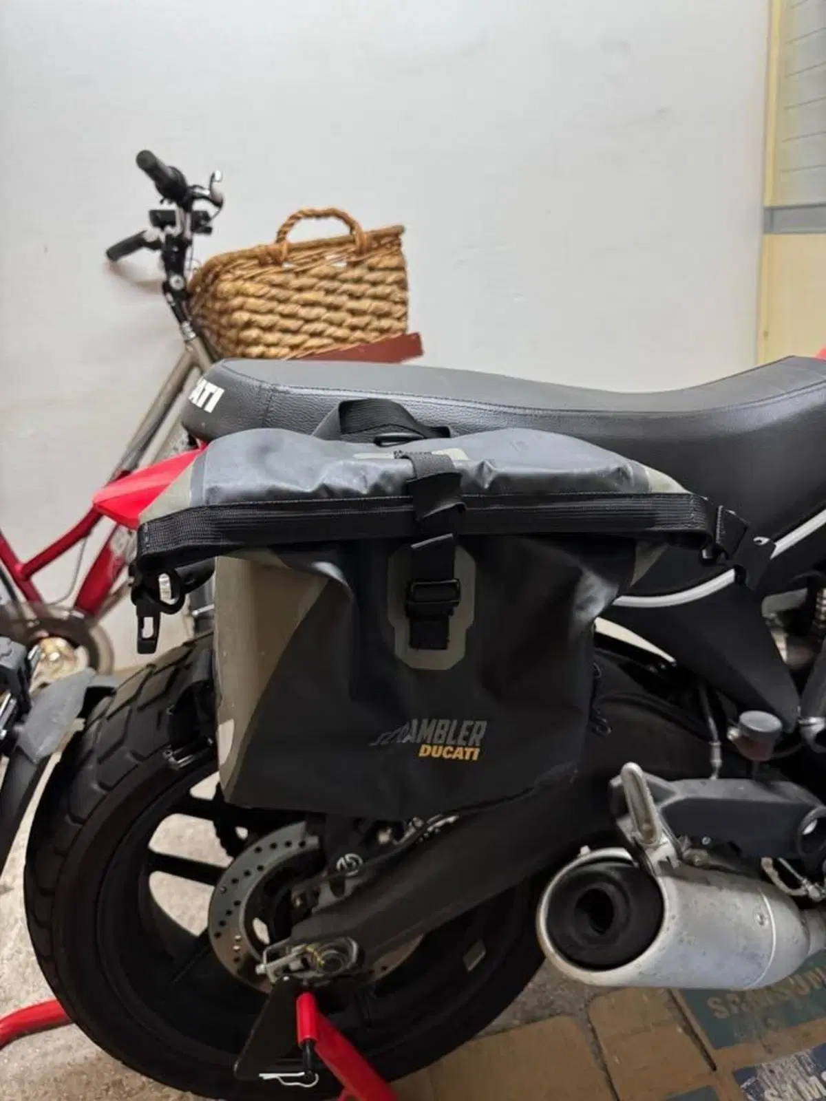 Ducati Scrambler 800 Icon (2017 - 20) (5)