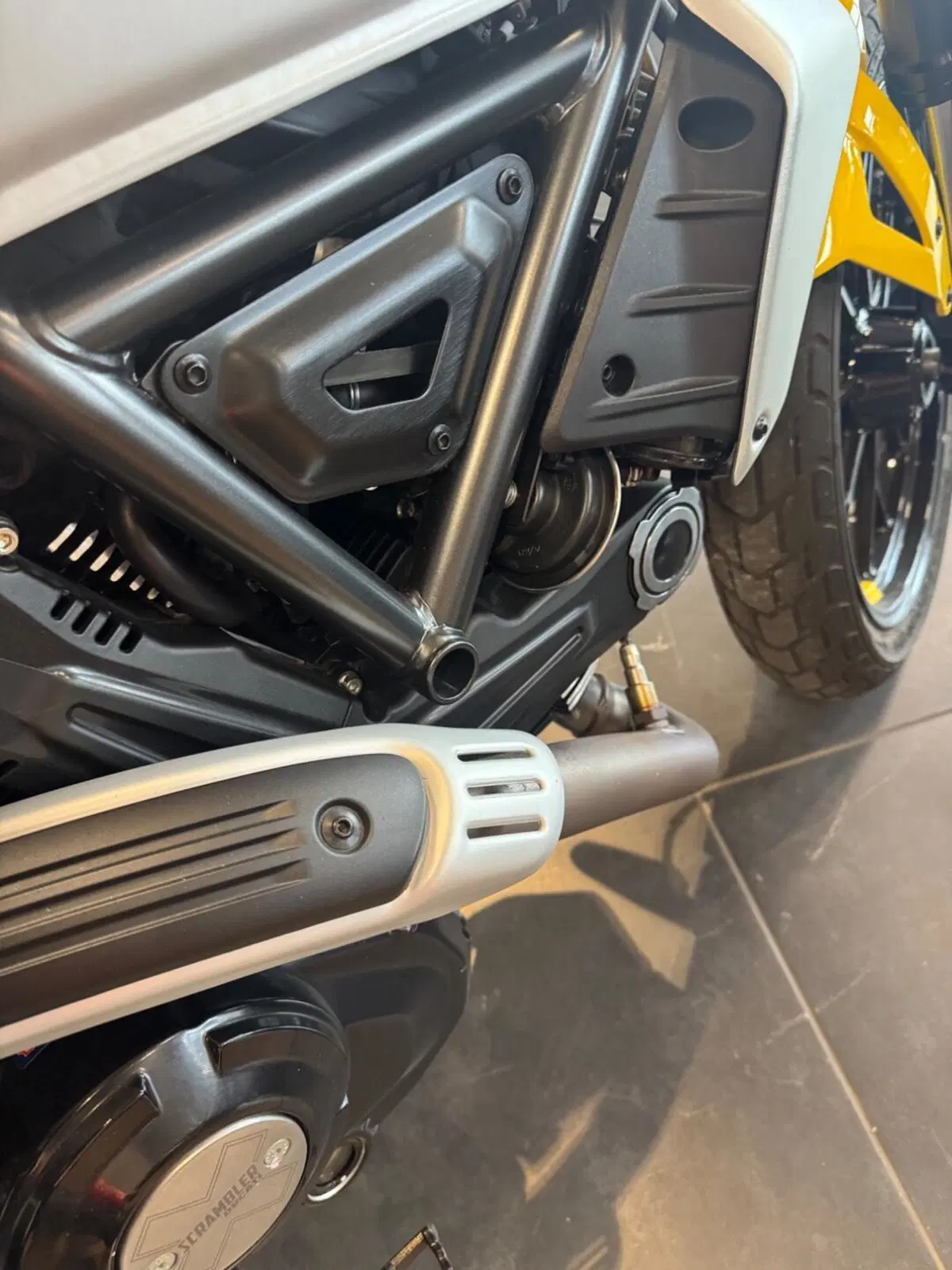 Ducati Scrambler 800 Icon (2025 - 26) (9)