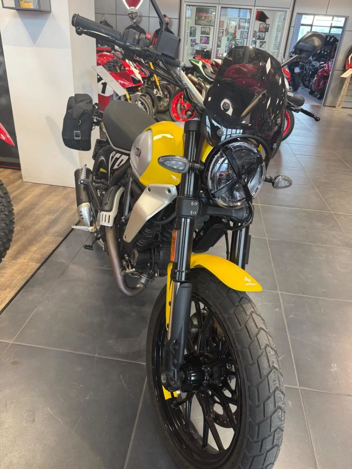 Ducati Scrambler 800 Icon (2025 - 26) (5)
