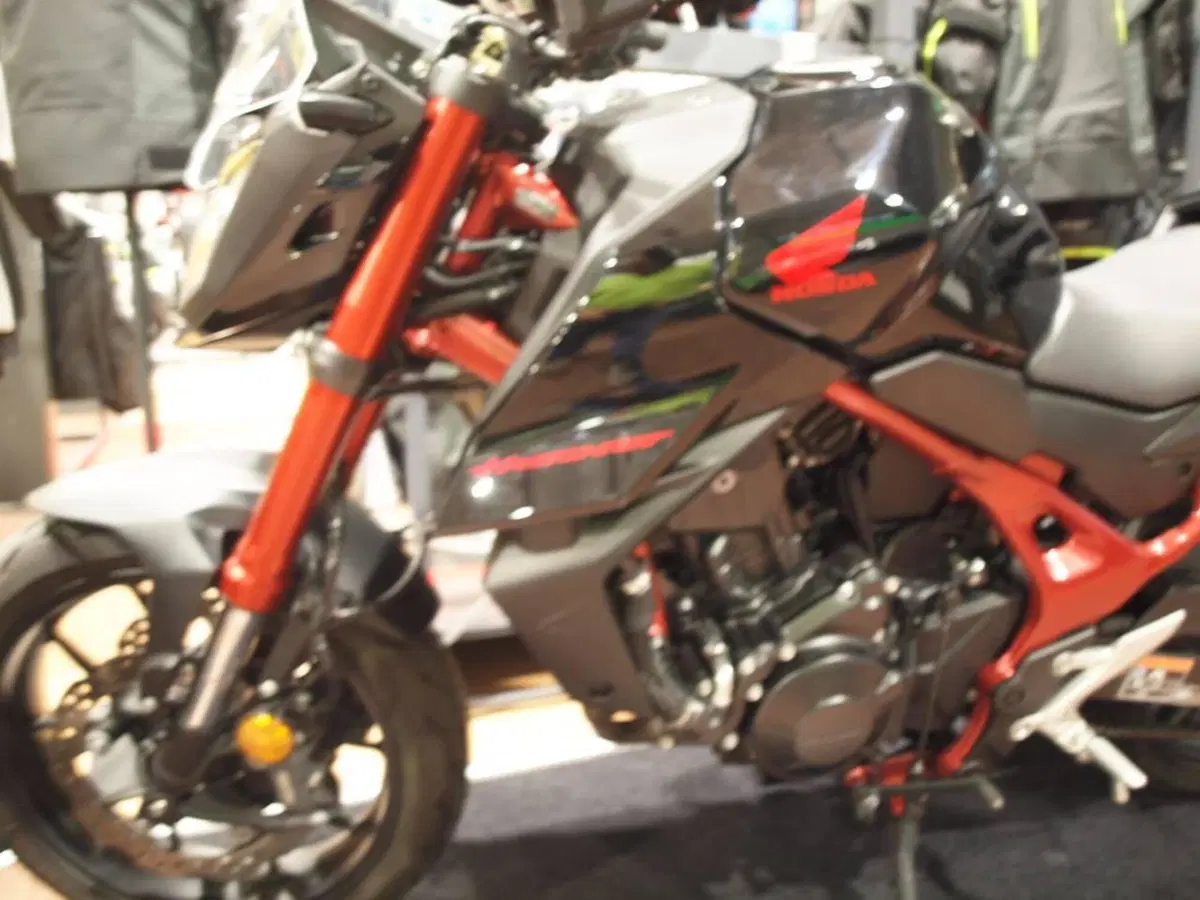 Honda CB 750 Hornet (2023 - 24)