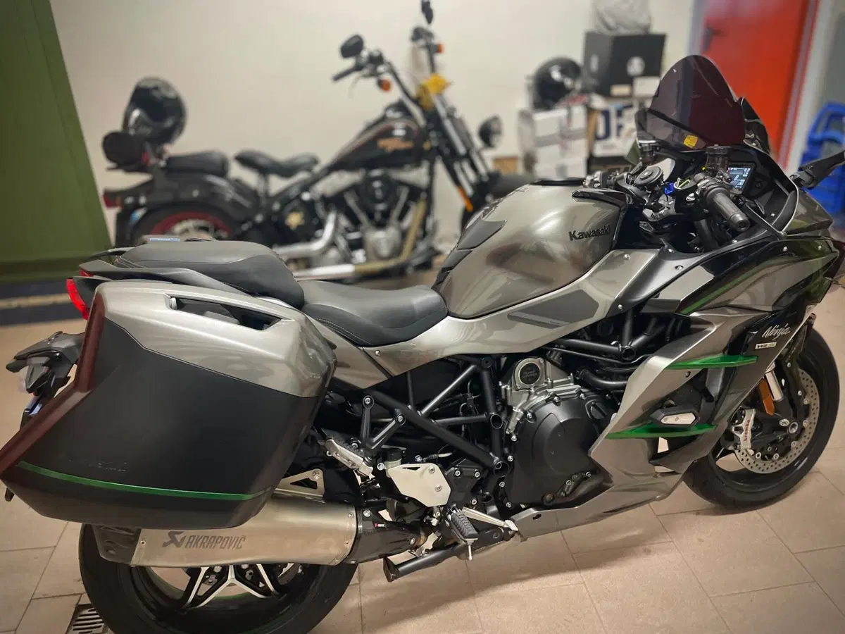 Kawasaki Ninja H2 SX SE+ (2019 - 20) (7)