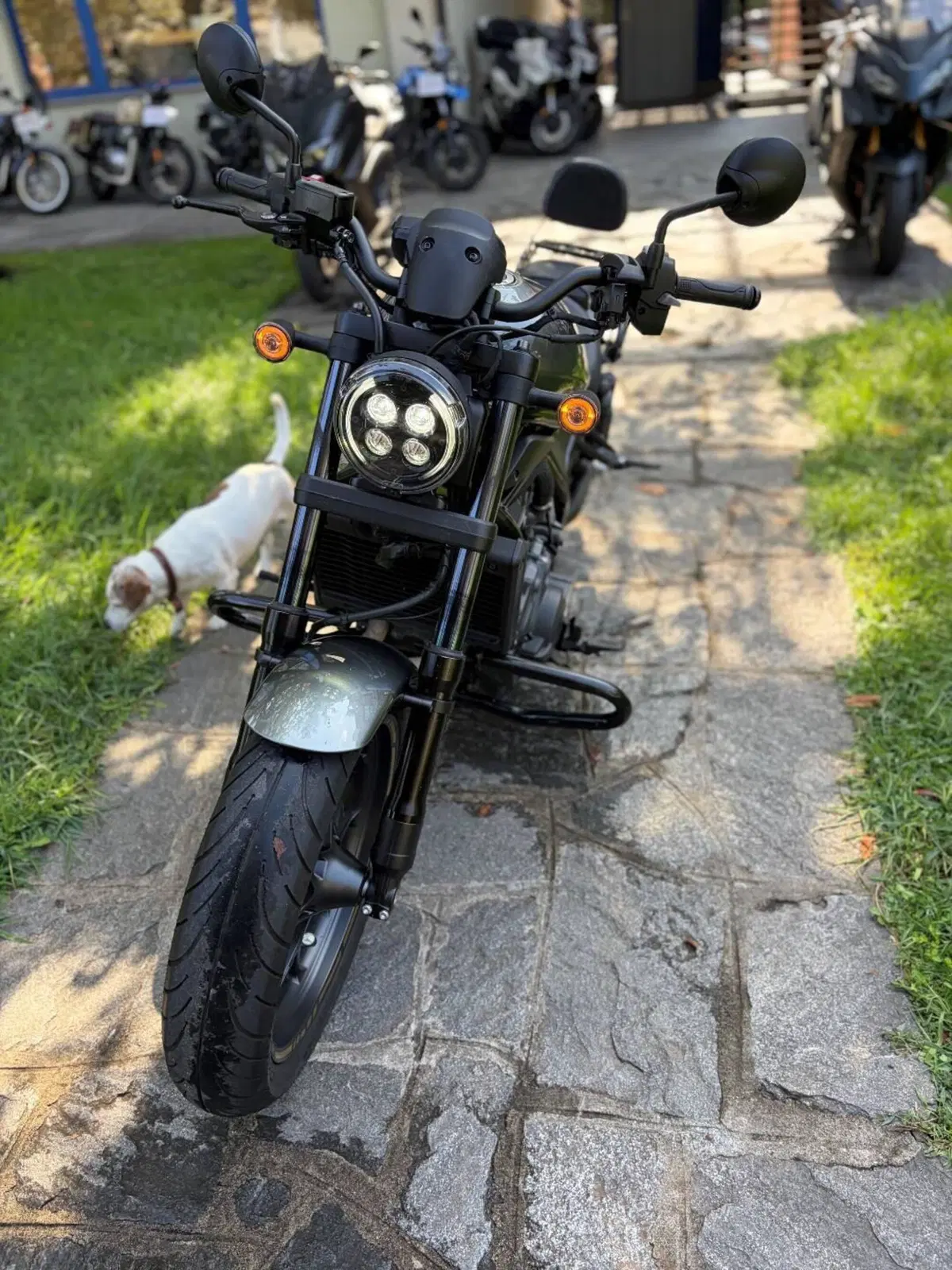 Honda CMX 1100 Rebel DCT (2021 - 24) (3)
