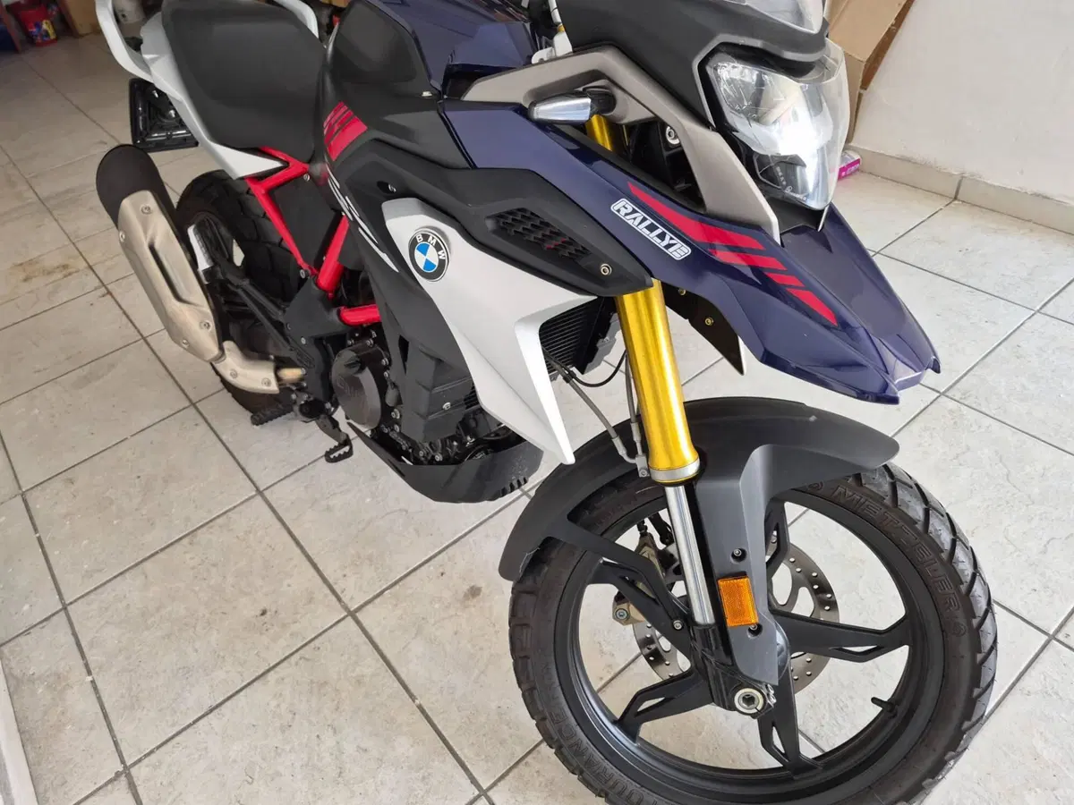 Bmw G 310 GS (2021 - 25) (2)