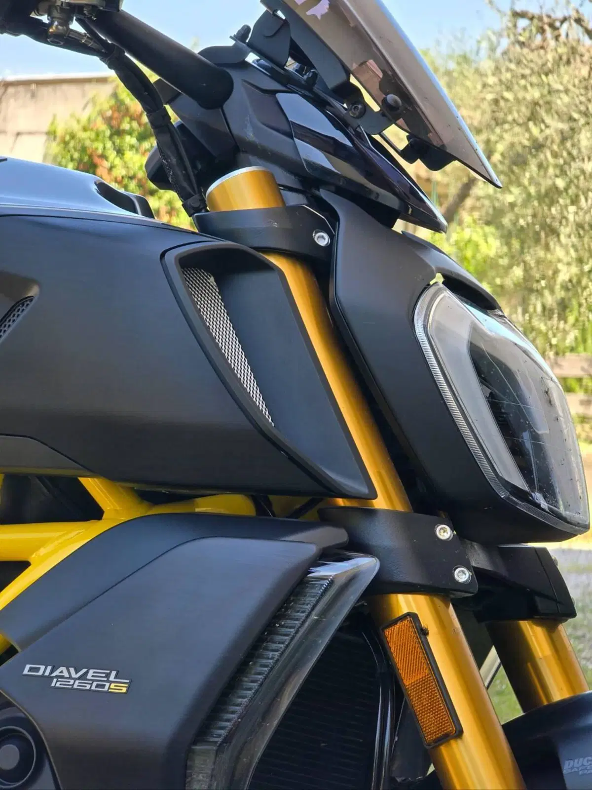 Ducati Diavel 1260 S (2021 - 22) (8)