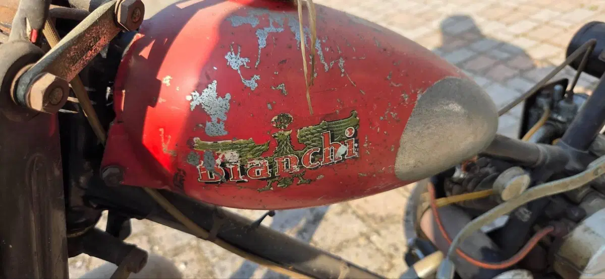 Bianchi Aquilotto 48 (3)