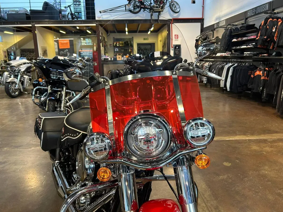 Harley-Davidson Hydra-Glide Revival (2024 - 25) (2)
