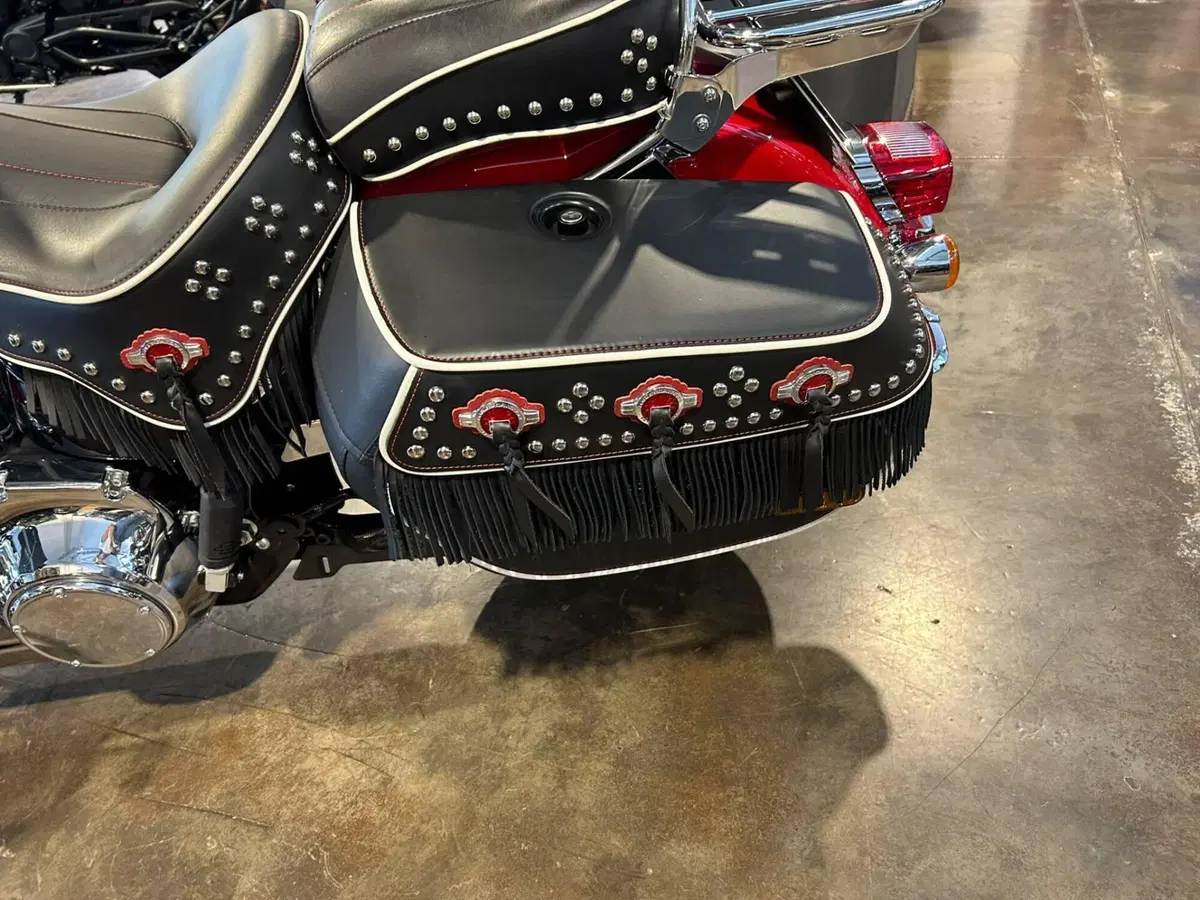 Harley-Davidson Hydra-Glide Revival (2024 - 25) (3)