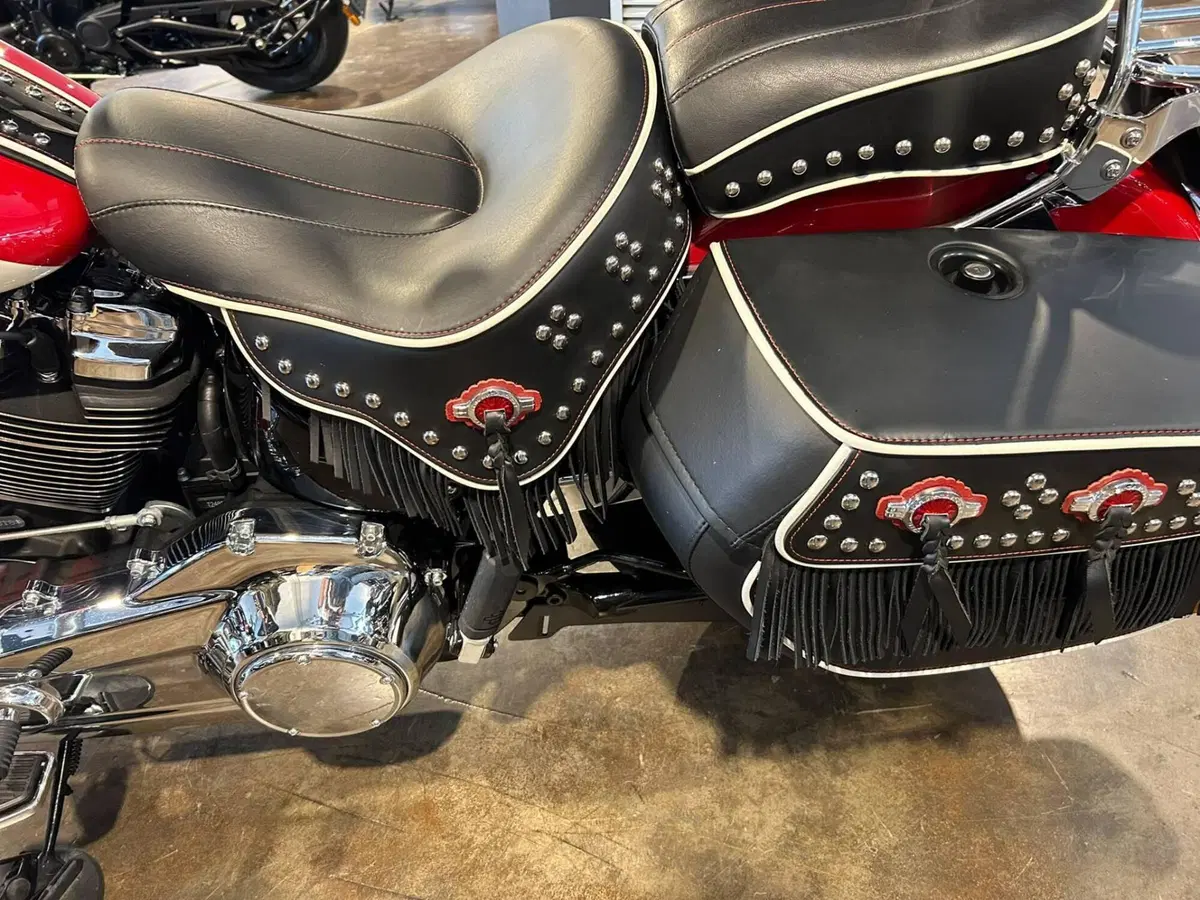 Harley-Davidson Hydra-Glide Revival (2024 - 25) (4)