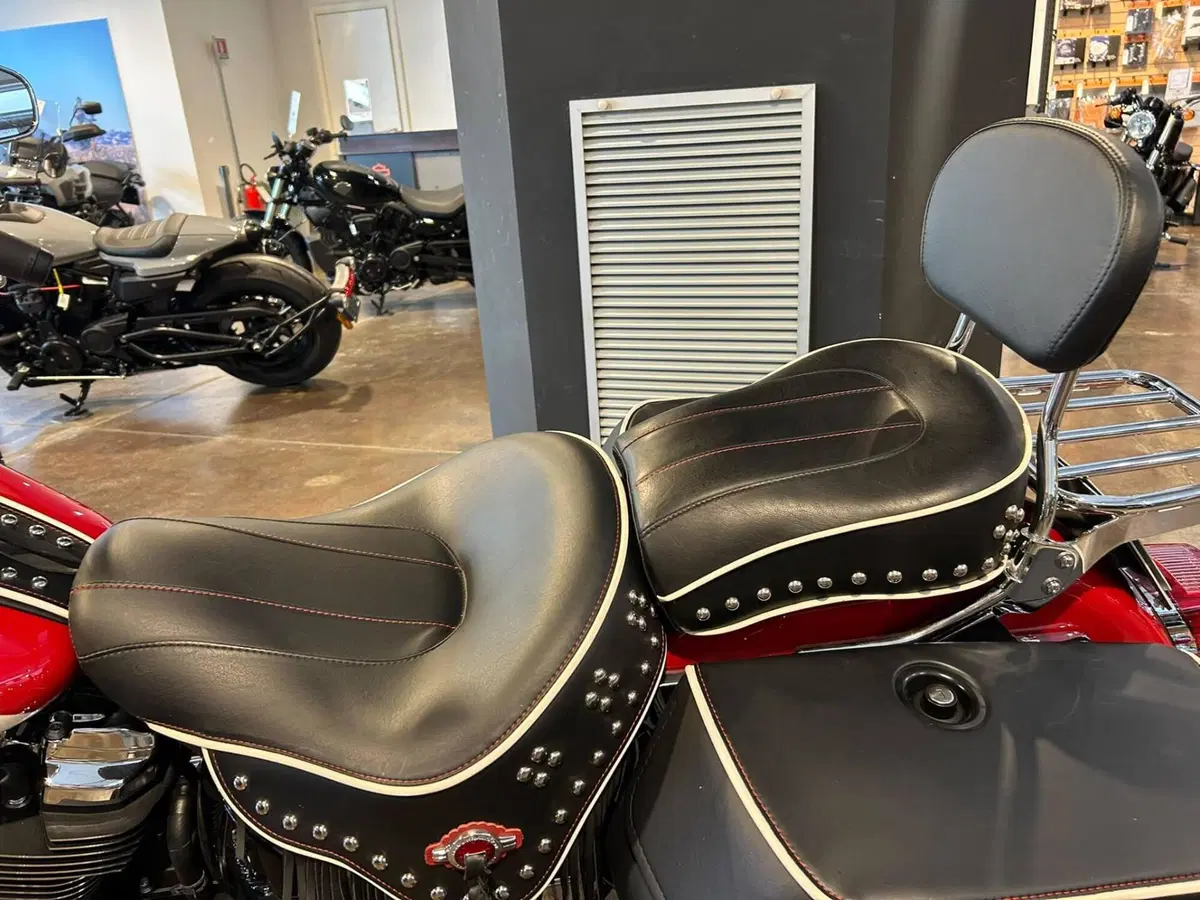 Harley-Davidson Hydra-Glide Revival (2024 - 25) (5)