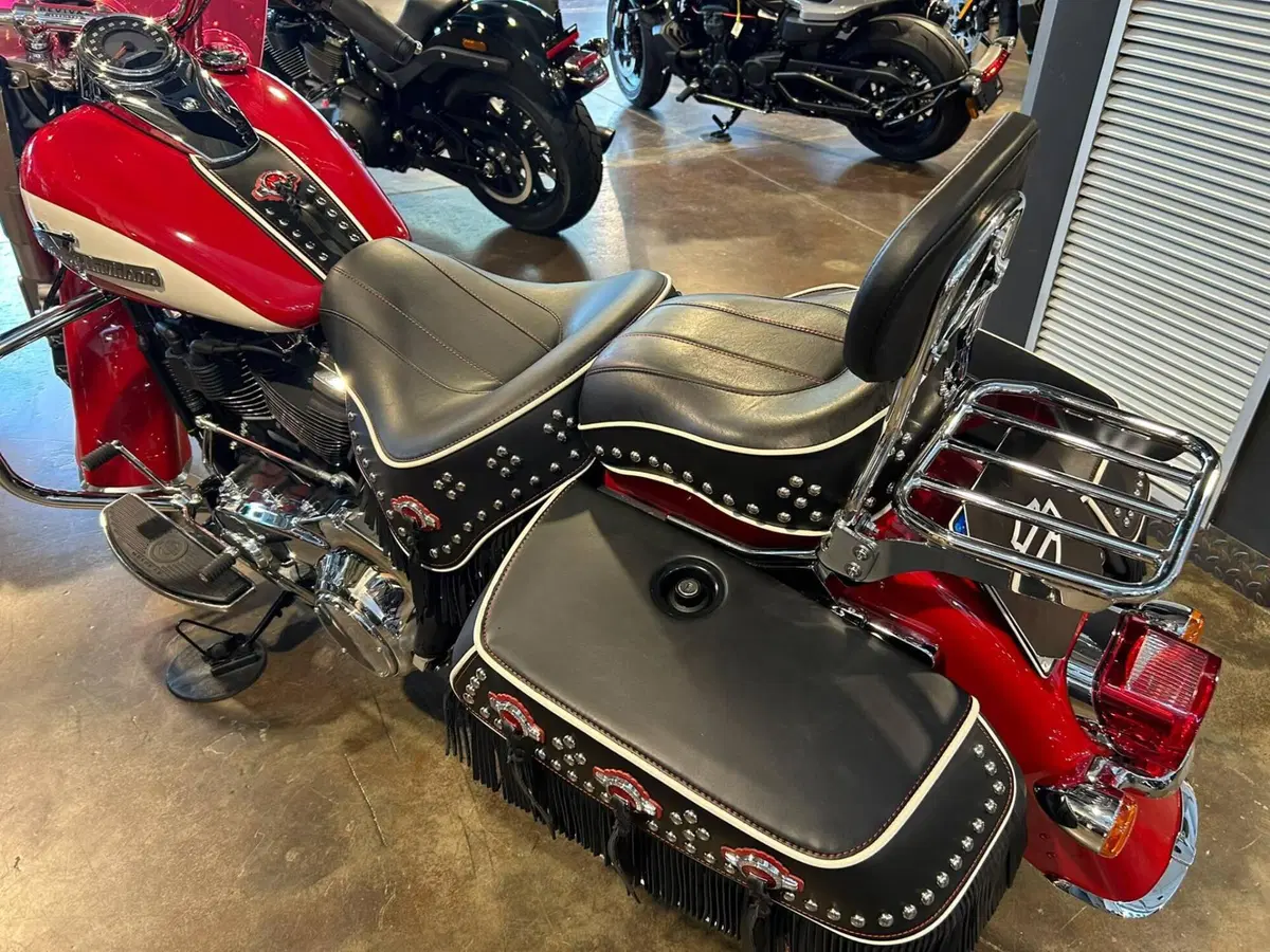 Harley-Davidson Hydra-Glide Revival (2024 - 25) (9)