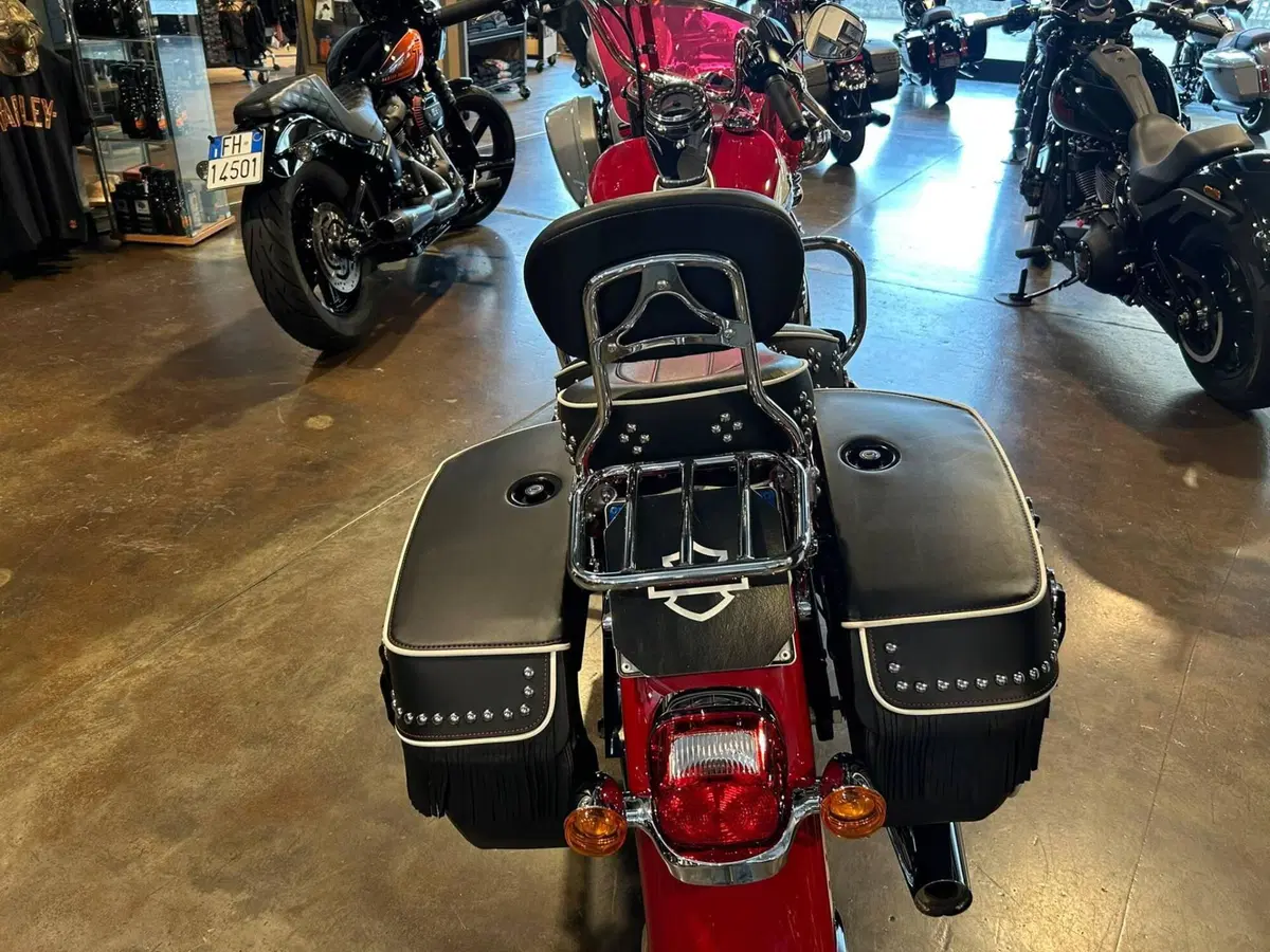 Harley-Davidson Hydra-Glide Revival (2024 - 25) (11)