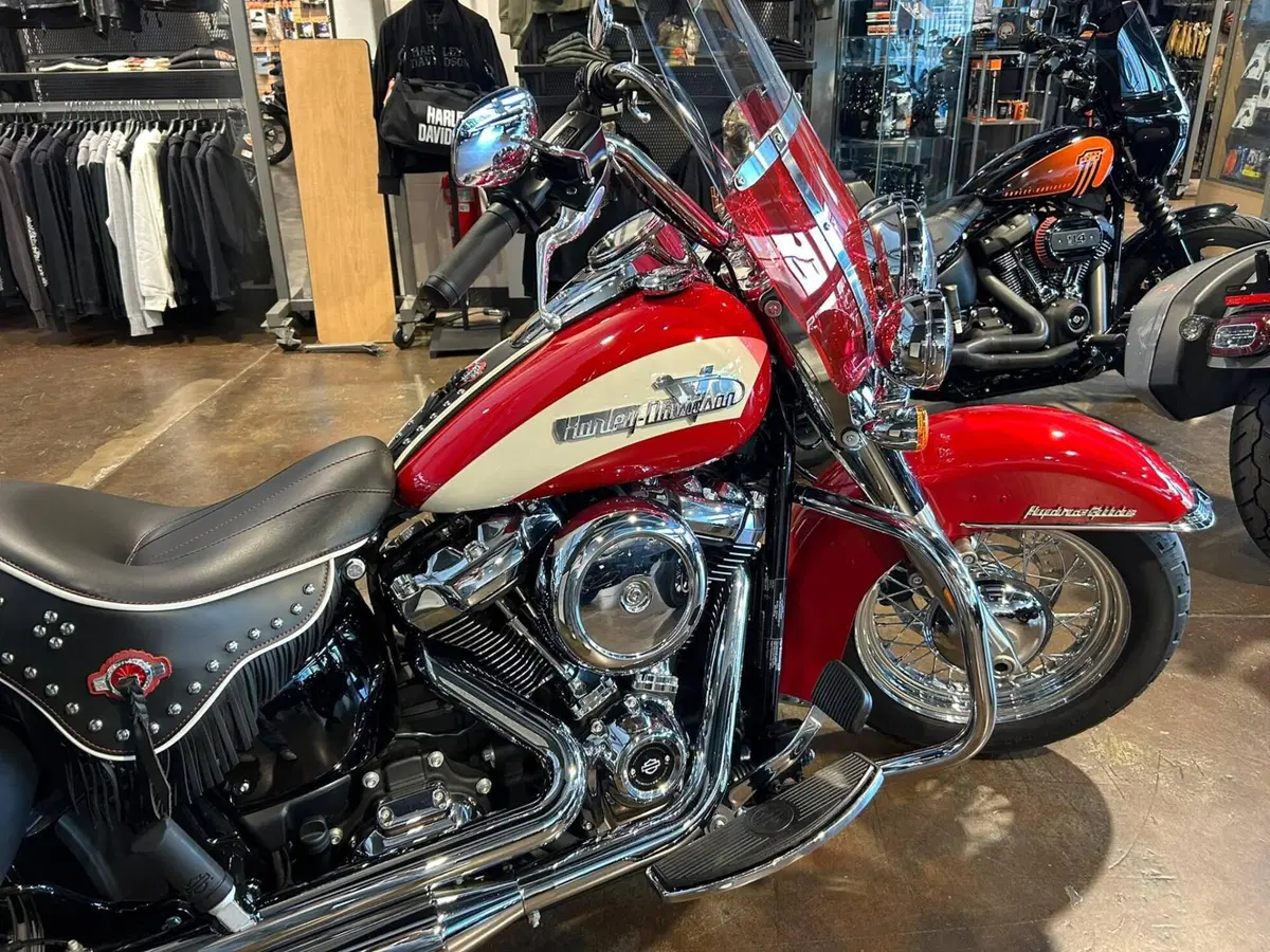 Harley-Davidson Hydra-Glide Revival (2024 - 25) (12)