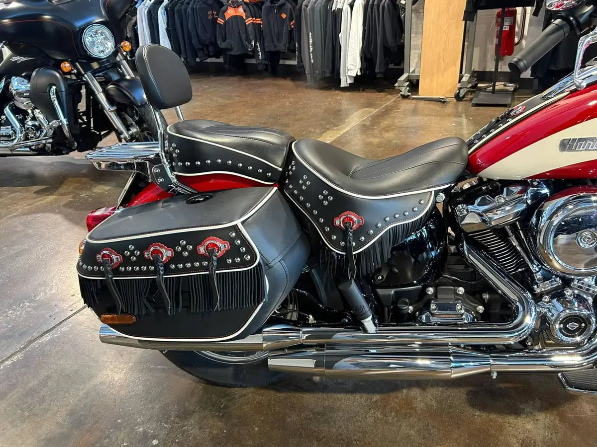 Harley-Davidson Hydra-Glide Revival (2024 - 25) (13)