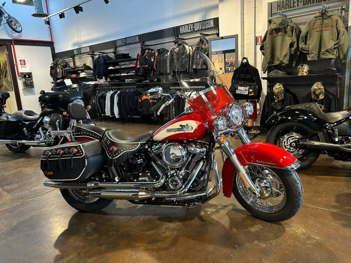 Harley-Davidson Hydra-Glide Revival (2024 - 25) (15)