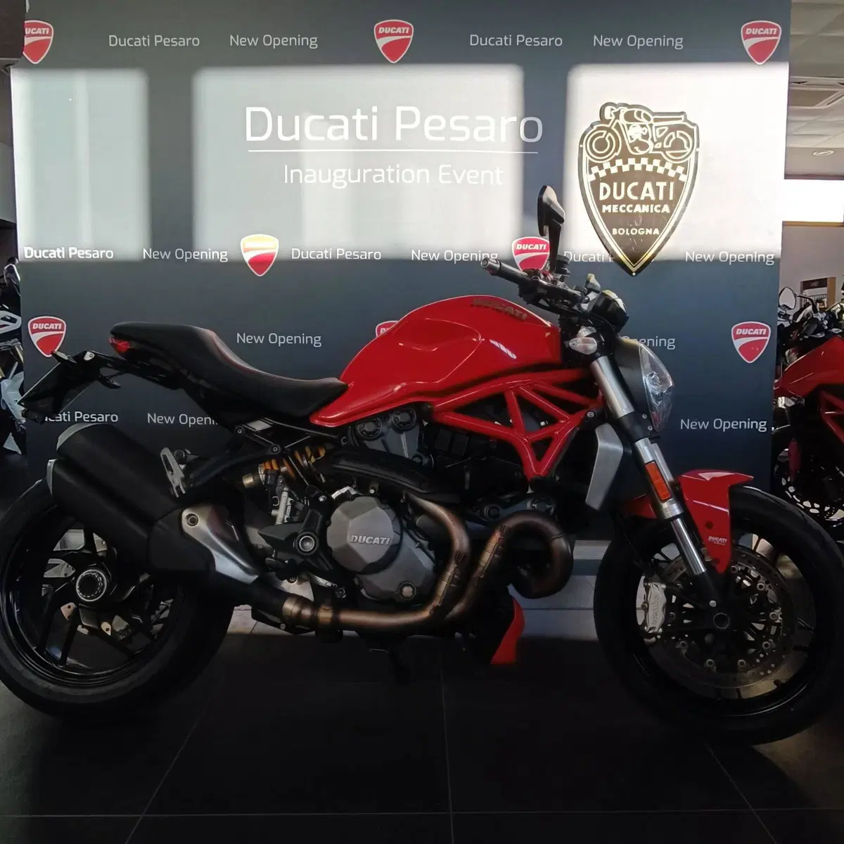 Ducati Monster 1200 (2017 - 21) (2)