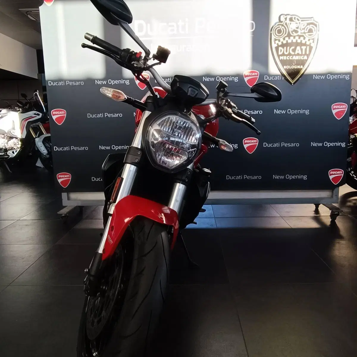 Ducati Monster 1200 (2017 - 21) (7)