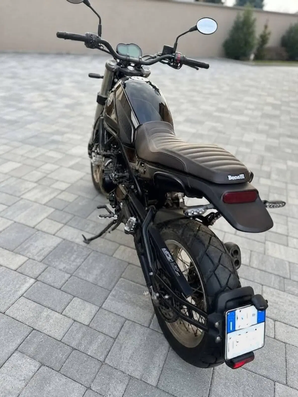 Benelli Leoncino 500 (2021 - 25) (2)