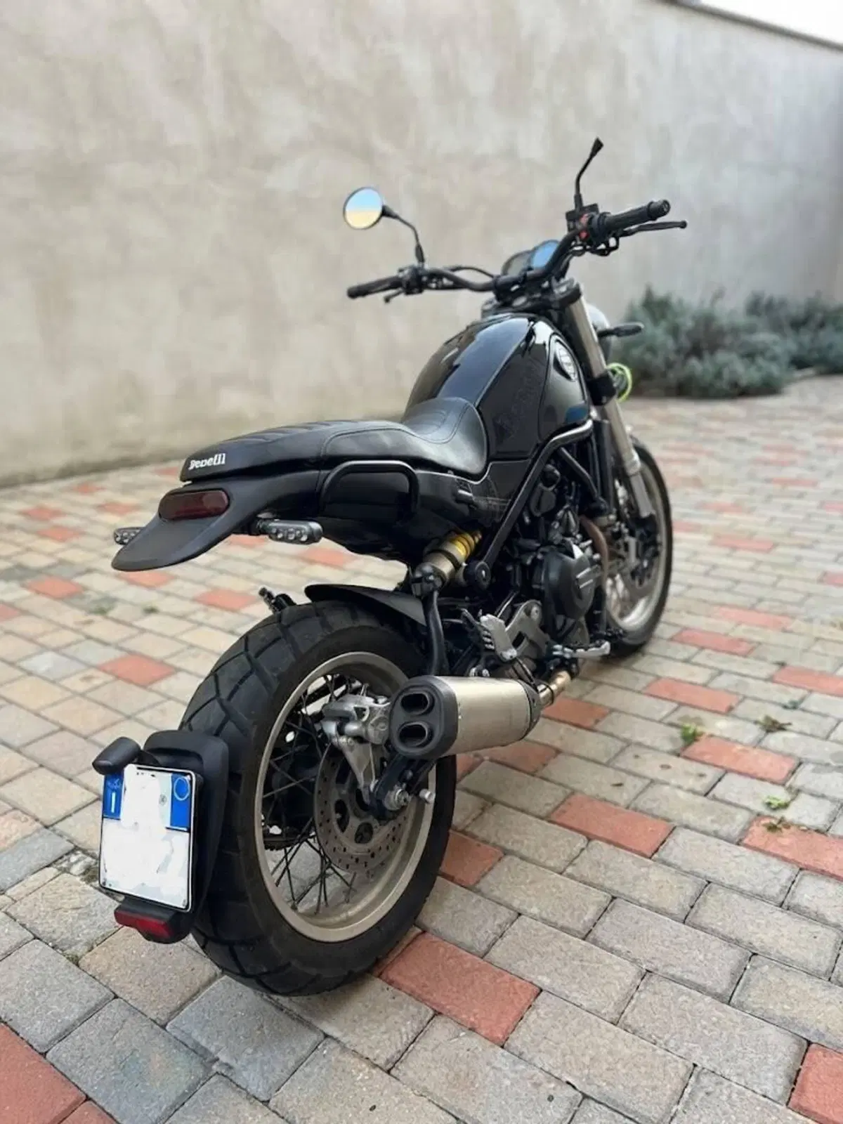 Benelli Leoncino 500 (2021 - 25) (3)