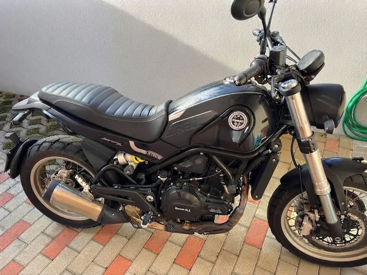 Benelli Leoncino 500 (2021 - 25) (4)