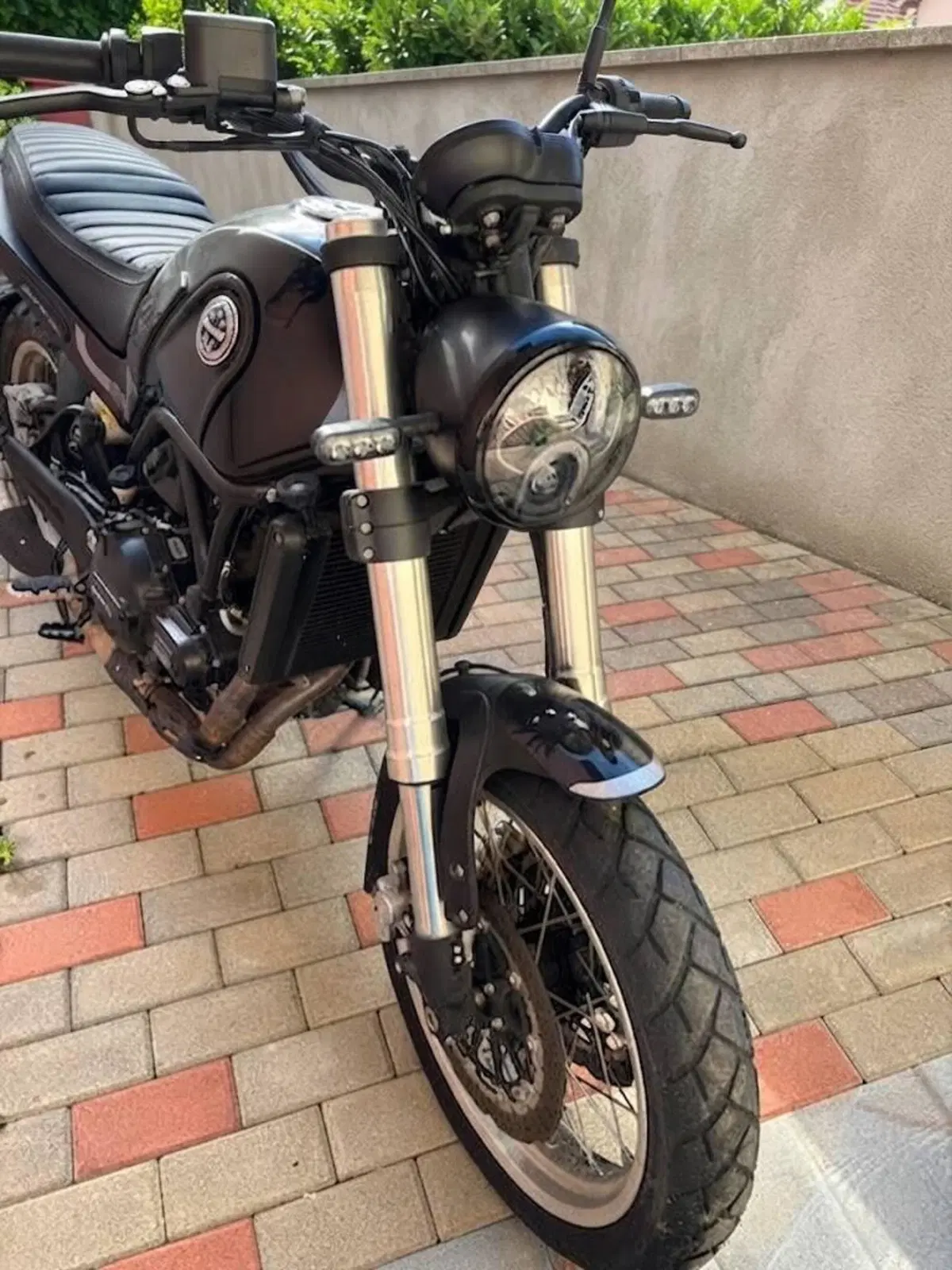 Benelli Leoncino 500 (2021 - 25) (5)