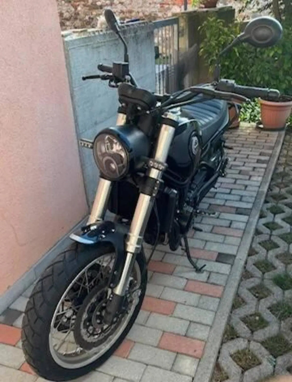 Benelli Leoncino 500 (2021 - 25) (7)