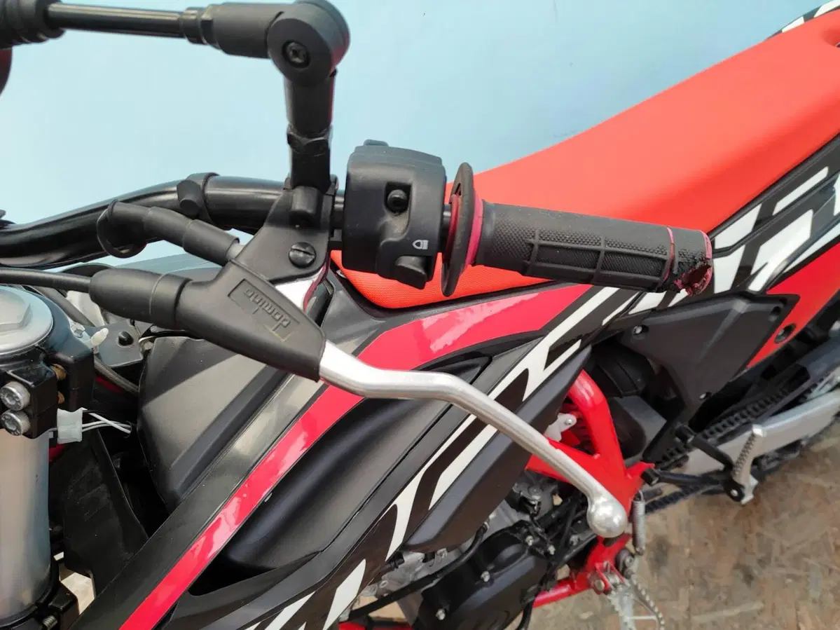 Betamotor RR 125 4T Motard LC (2021 - 23) (15)