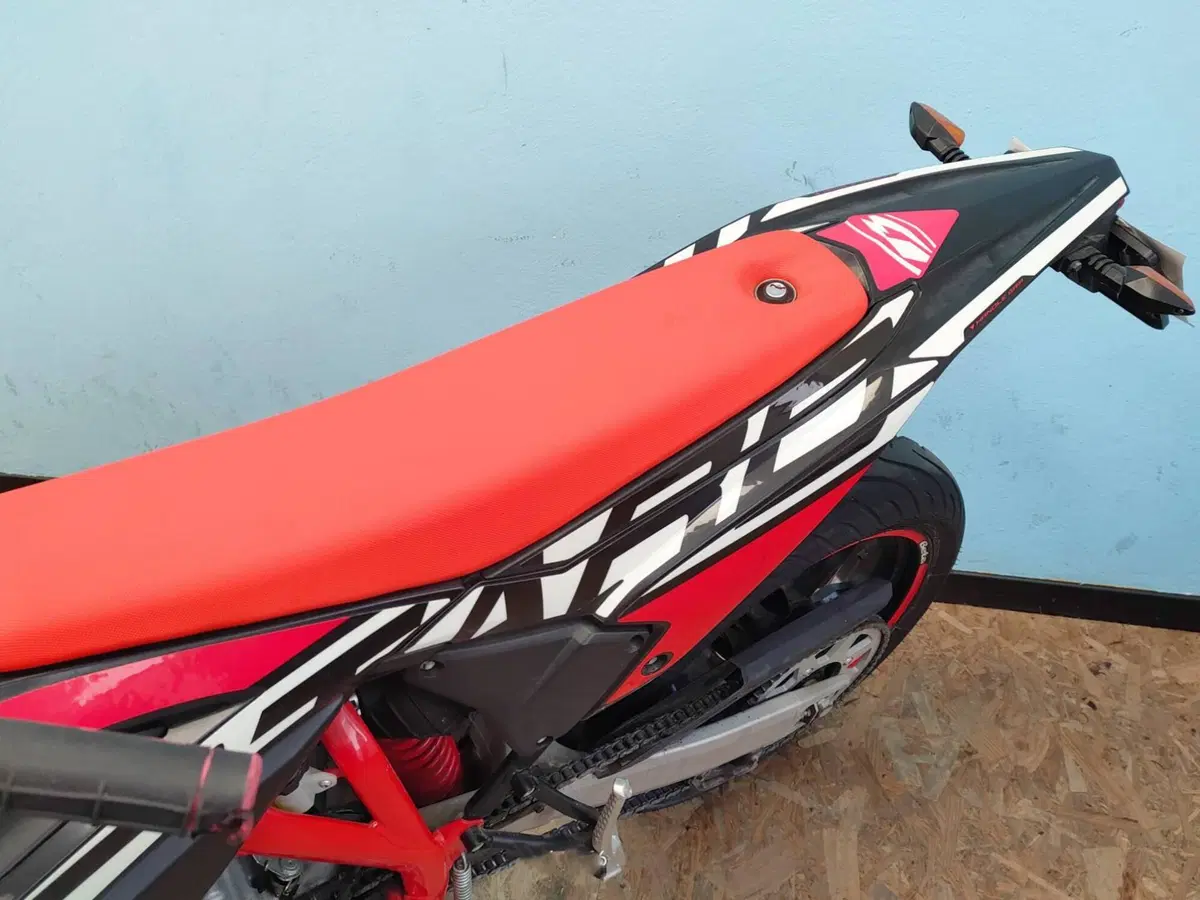 Betamotor RR 125 4T Motard LC (2021 - 23) (16)