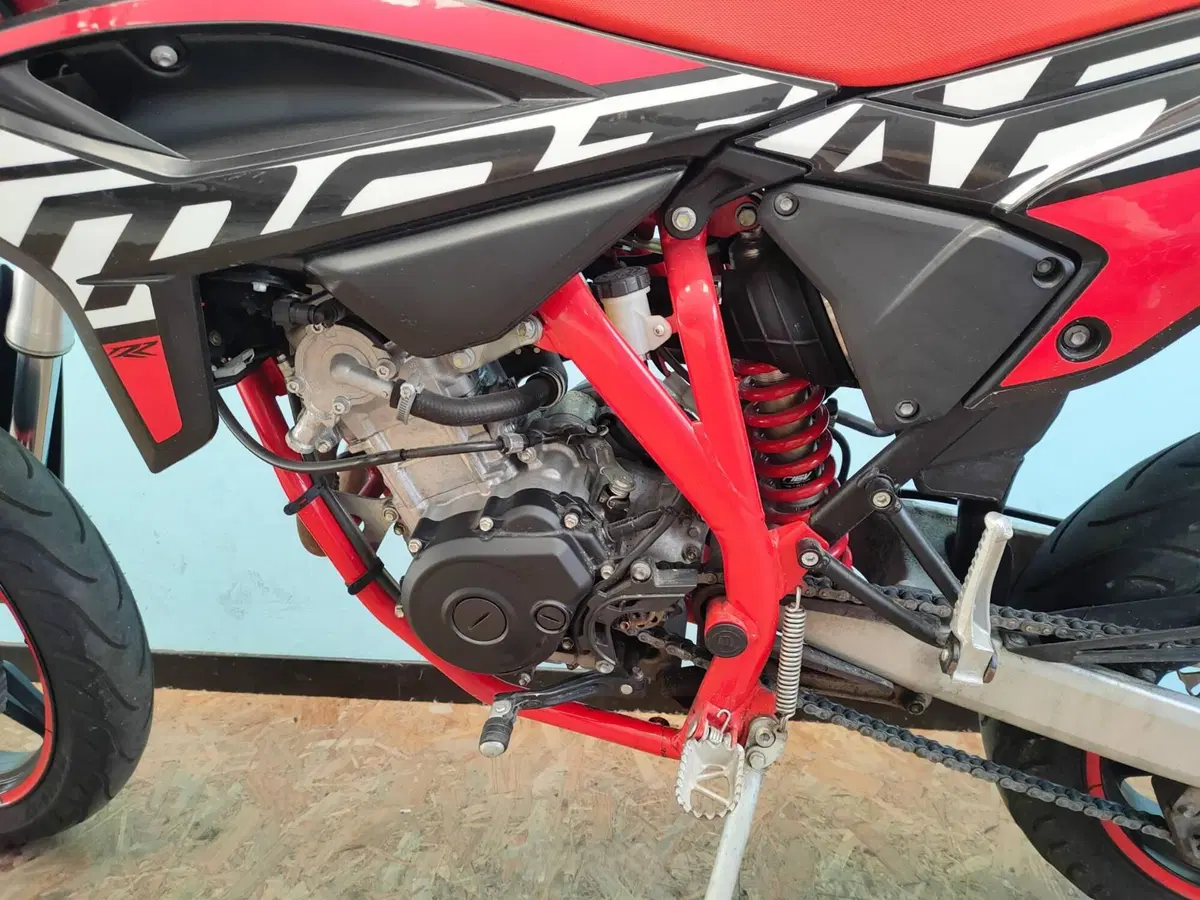 Betamotor RR 125 4T Motard LC (2021 - 23) (18)