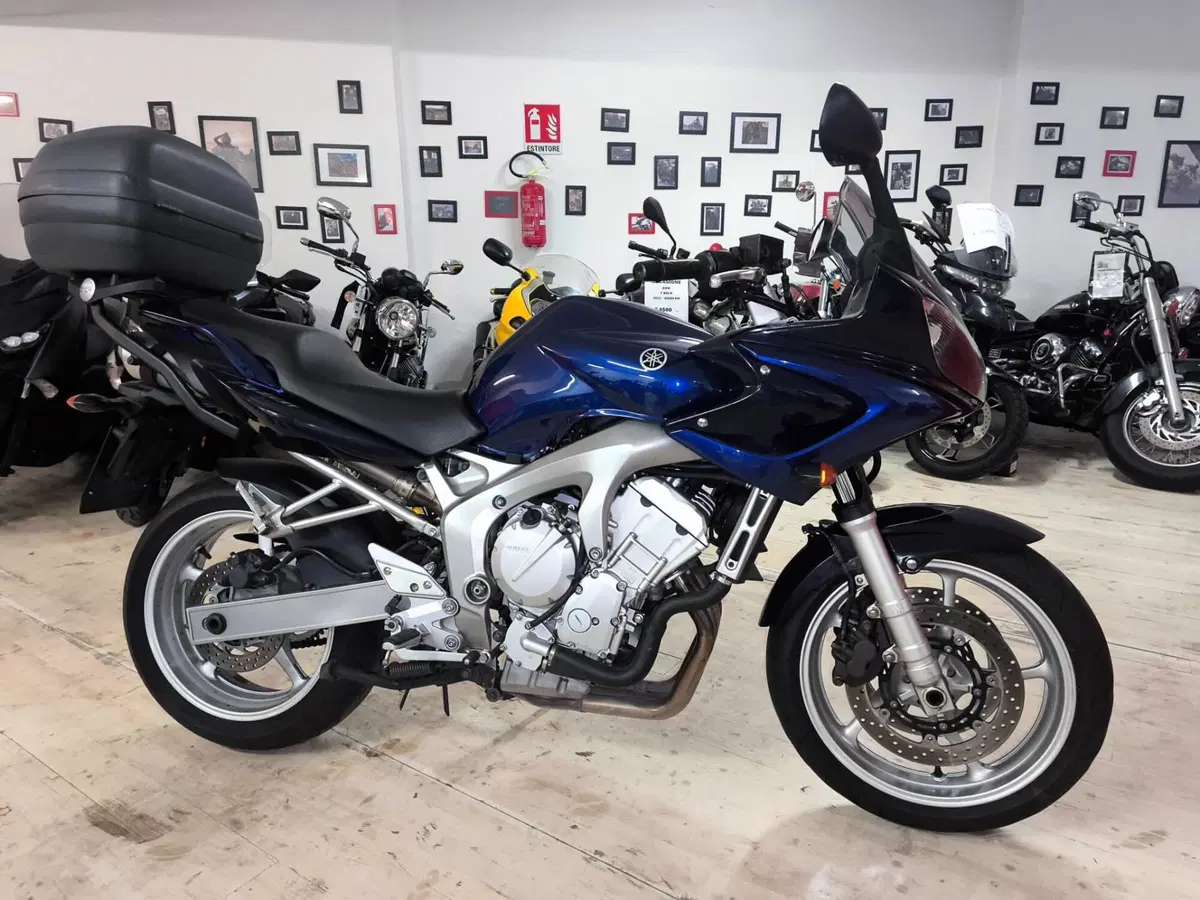 Yamaha FZ6 Fazer (2004 - 07)