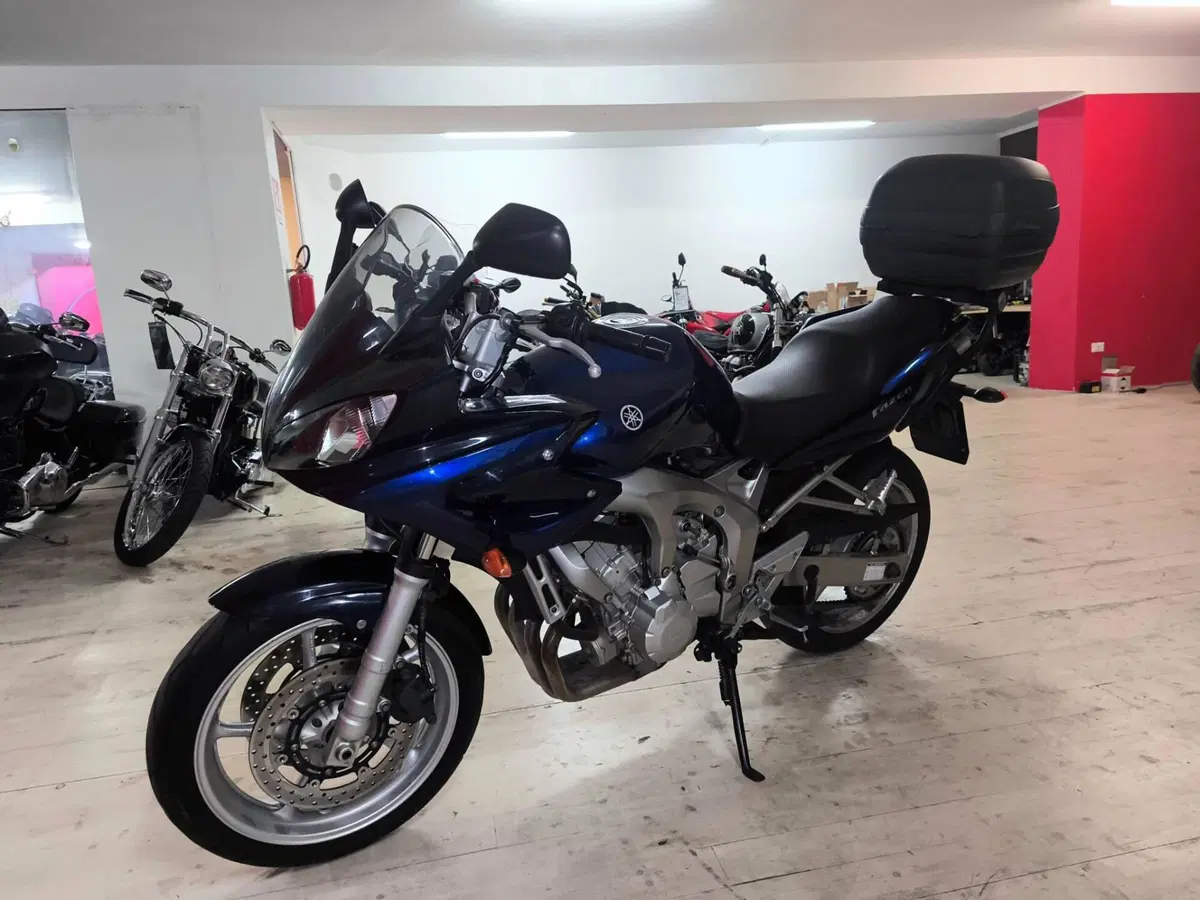 Yamaha FZ6 Fazer (2004 - 07) (3)