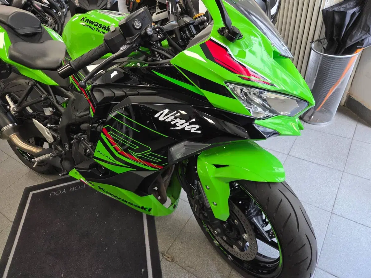 Kawasaki Ninja ZX-4RR (2024 - 26) (3)