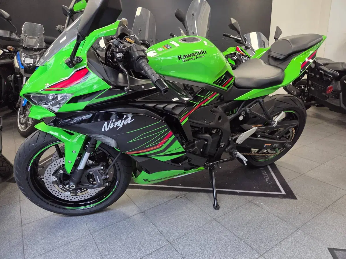 Kawasaki Ninja ZX-4RR (2024 - 26) (2)
