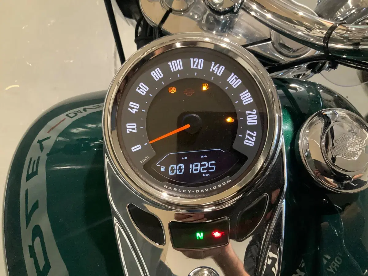 Harley-Davidson Heritage Classic (2021 - 24) (2)