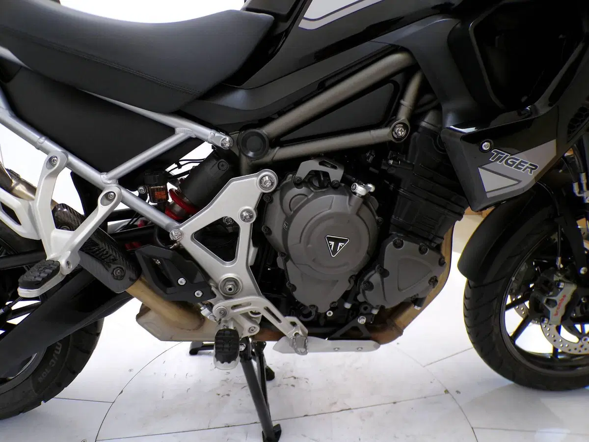 Triumph Tiger 1200 GT Pro (2022 - 23) (8)