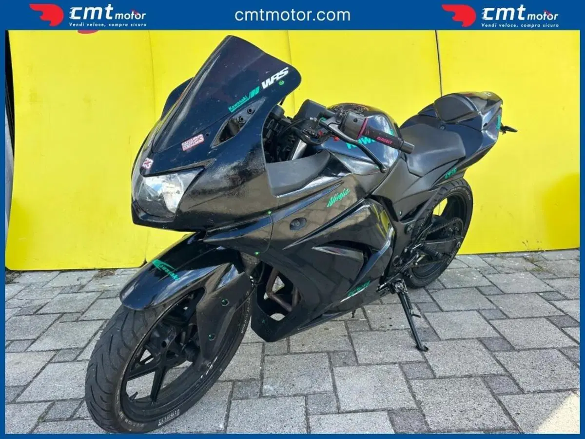 Kawasaki Ninja 250 R (2007 - 13) (2)