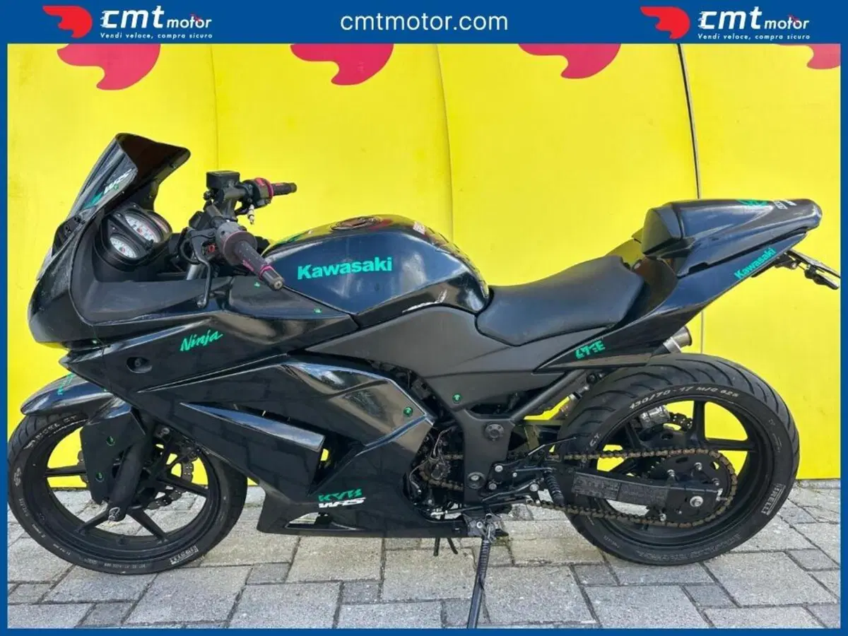 Kawasaki Ninja 250 R (2007 - 13) (3)
