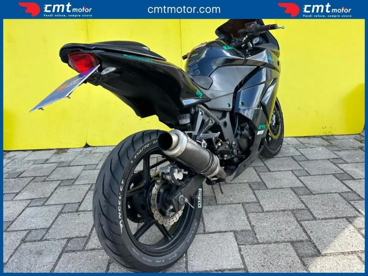 Kawasaki Ninja 250 R (2007 - 13) (4)