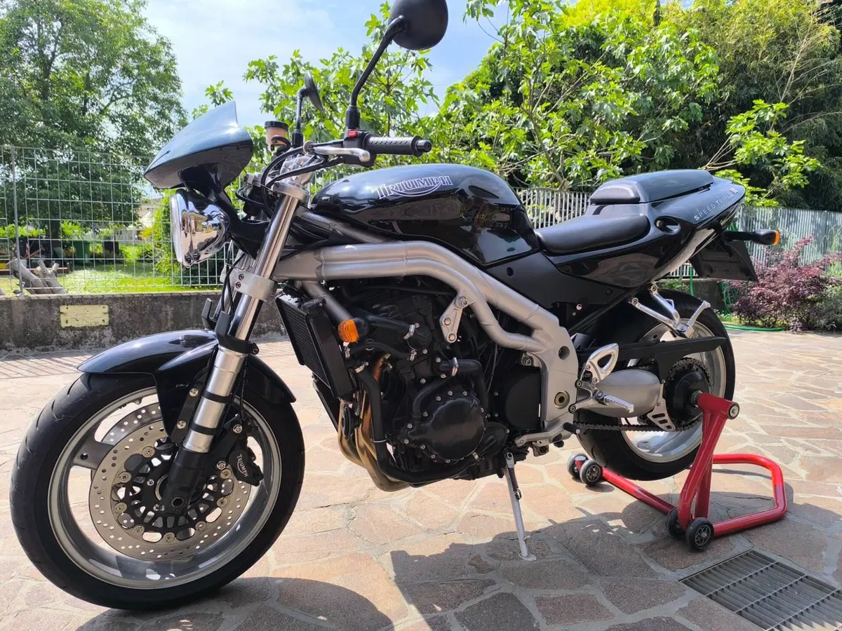 Triumph Speed Triple 955 (2002 - 04) (2)