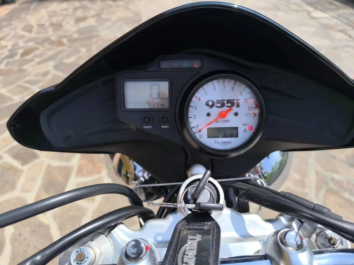 Triumph Speed Triple 955 (2002 - 04) (3)