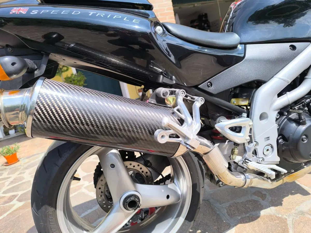 Triumph Speed Triple 955 (2002 - 04) (4)