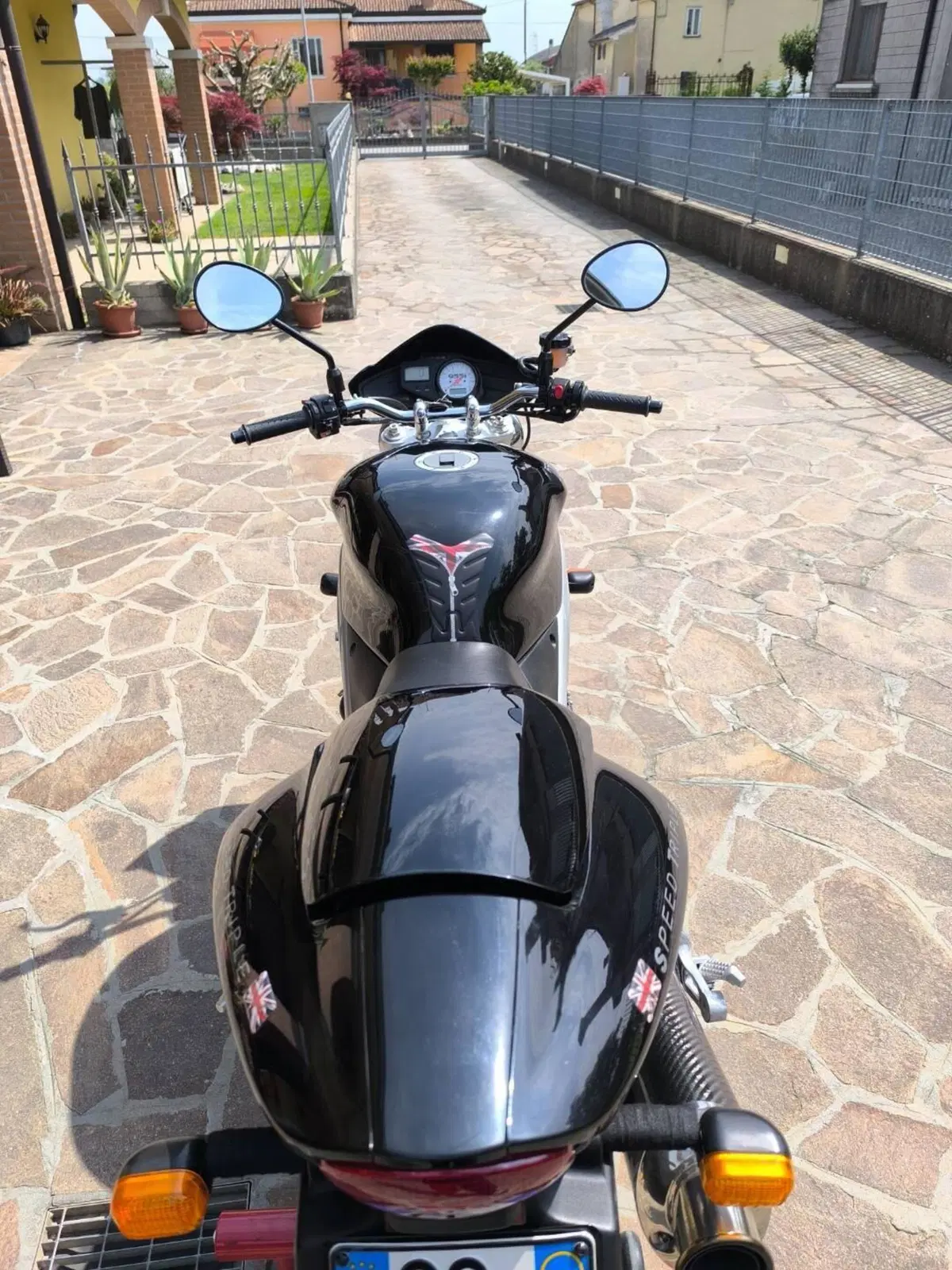 Triumph Speed Triple 955 (2002 - 04) (5)