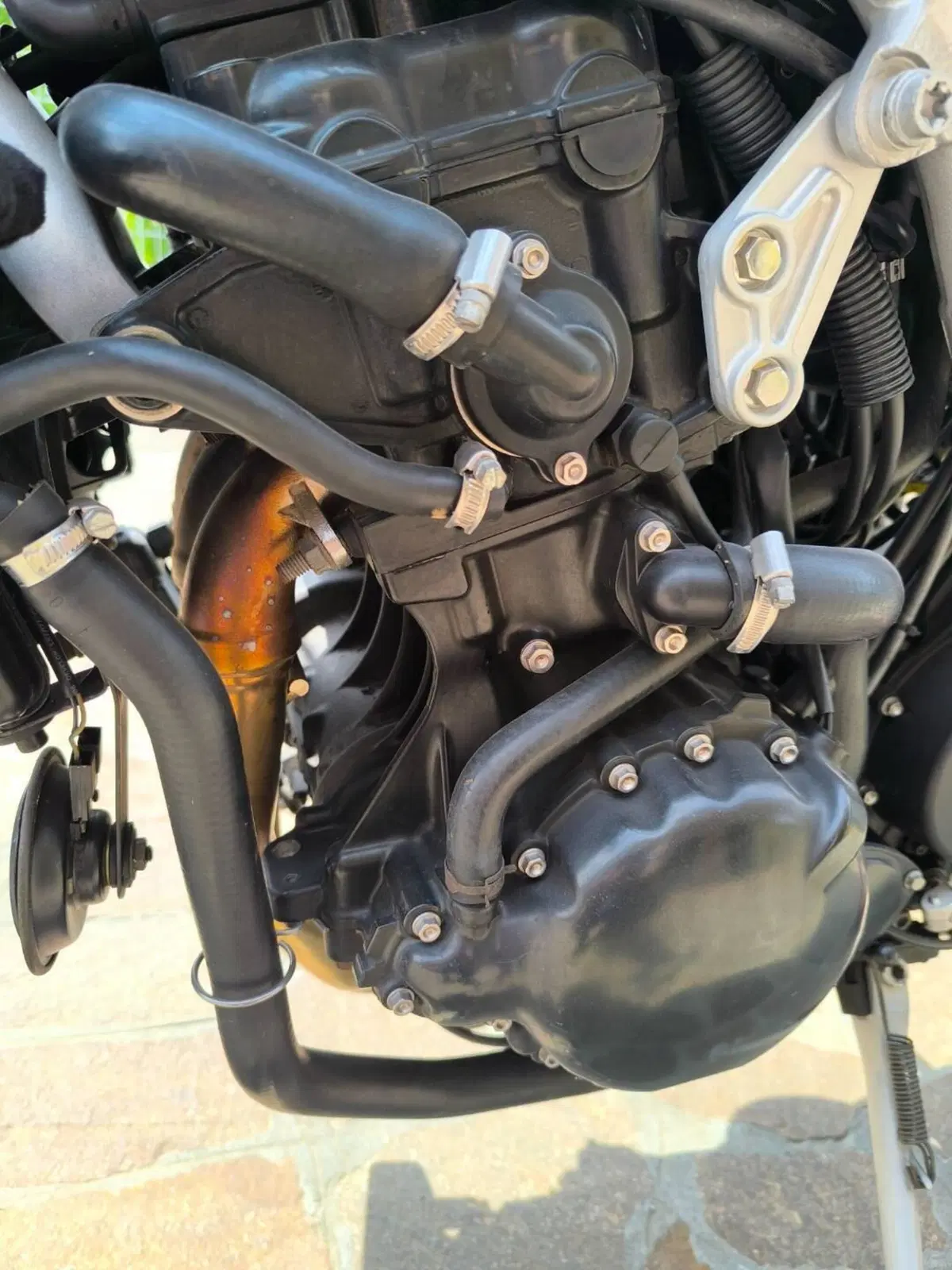 Triumph Speed Triple 955 (2002 - 04) (6)