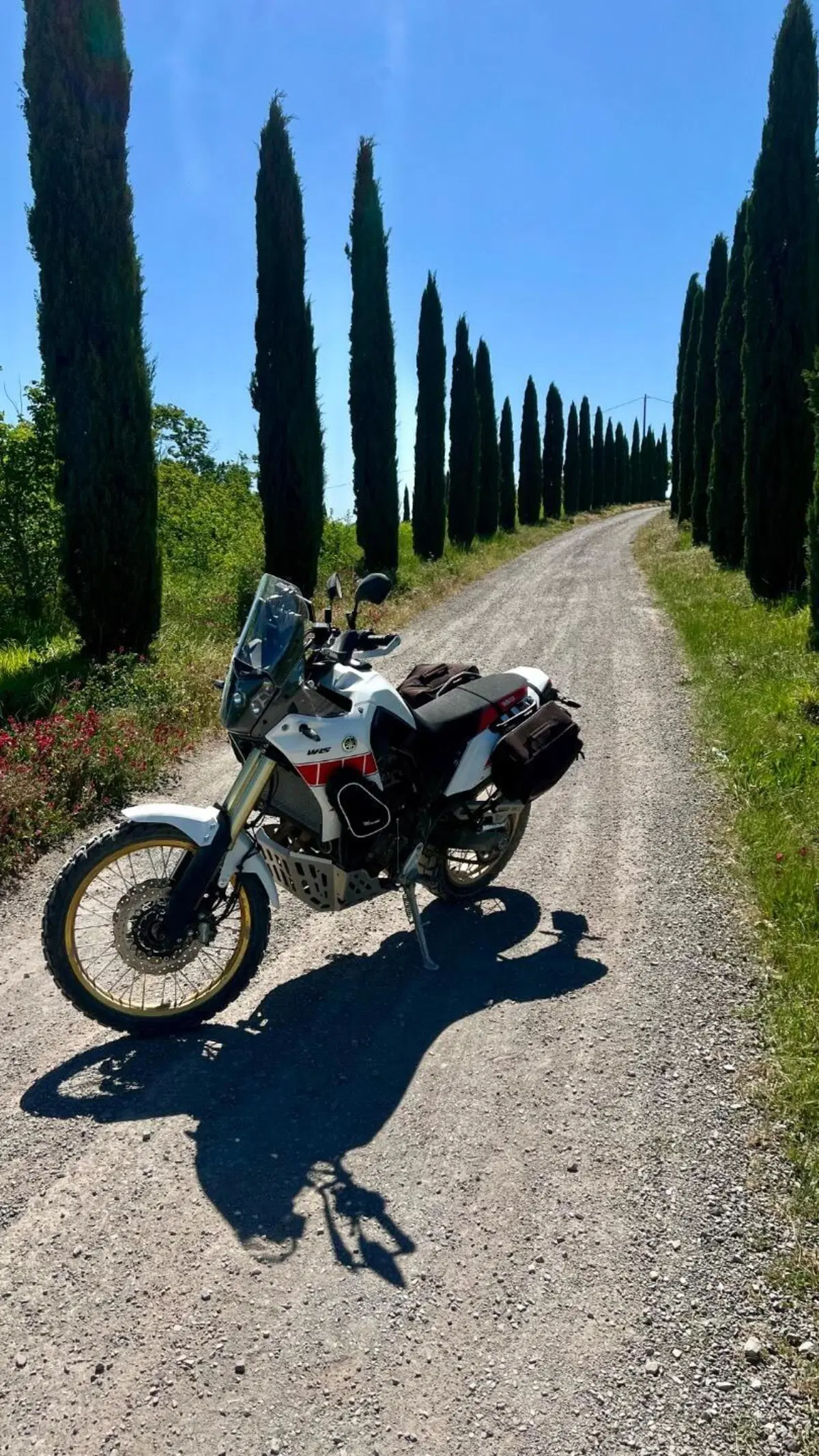 Yamaha Ténéré 700 Rally Edition (2022 - 24) (5)