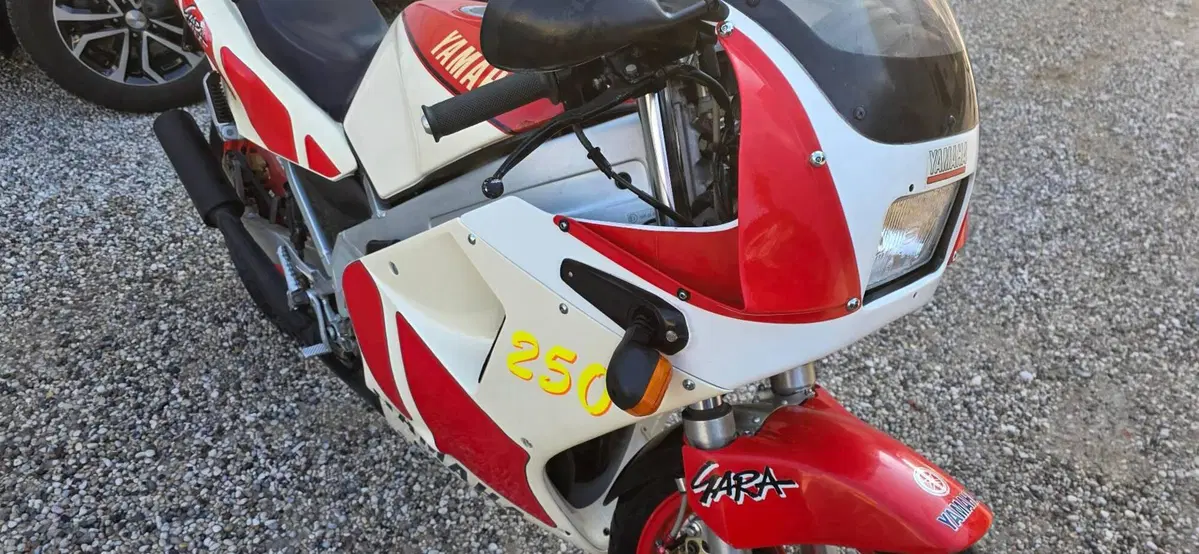 Yamaha TRZ (7)