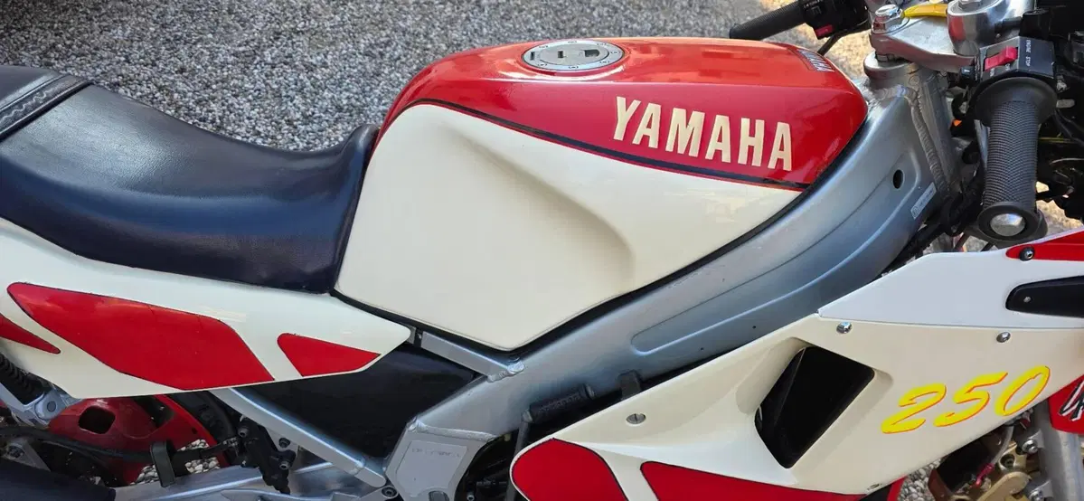 Yamaha TRZ (8)