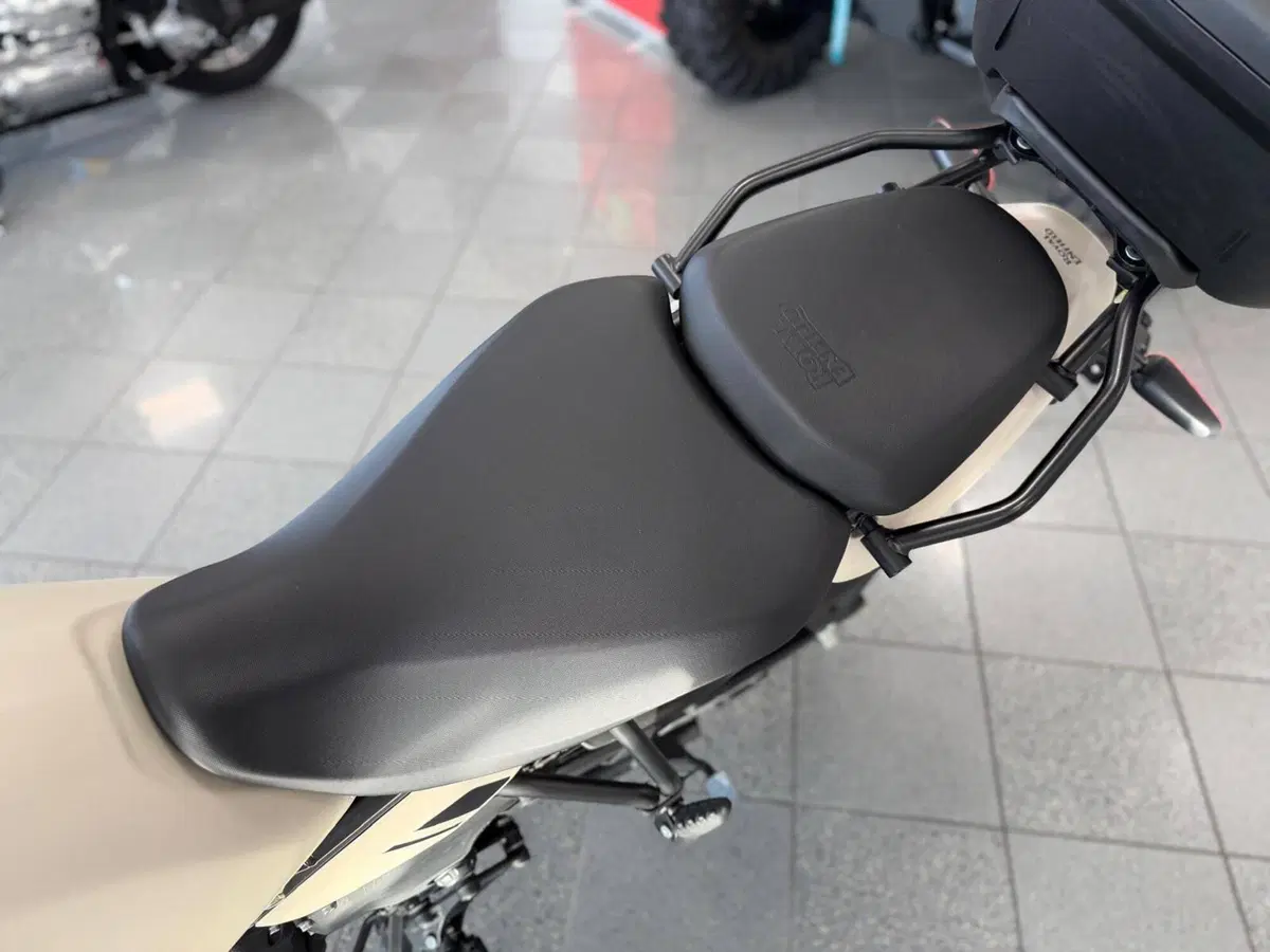 Royal Enfield Himalayan 450 (2024 - 26) (7)