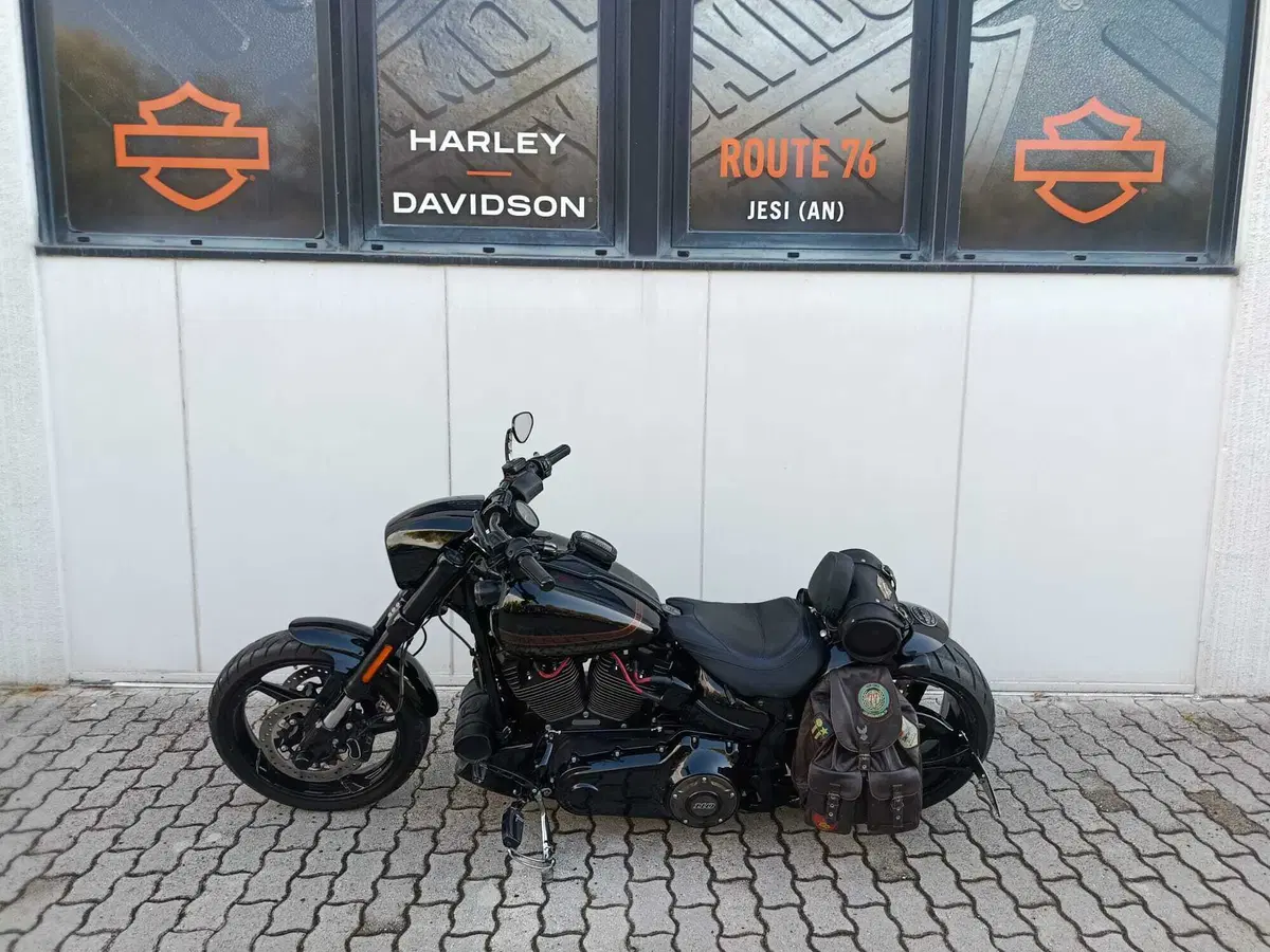 Harley-Davidson 1800 Breakout Pro Street (2016 - 17) - FXSBSE (7)