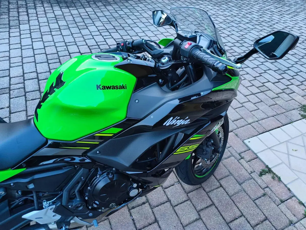 Kawasaki Ninja 650 (2017 - 19) (7)
