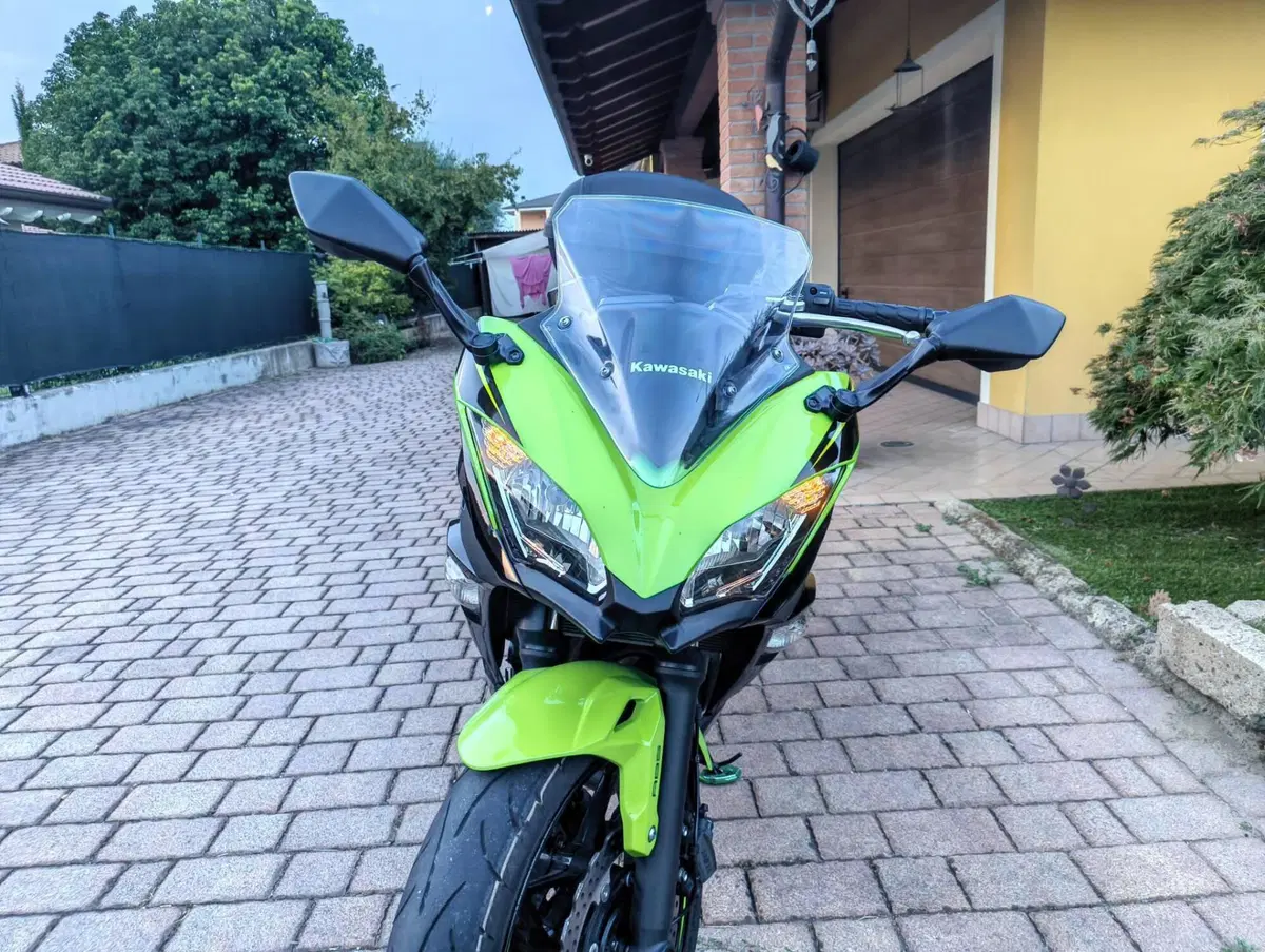 Kawasaki Ninja 650 (2017 - 19) (10)